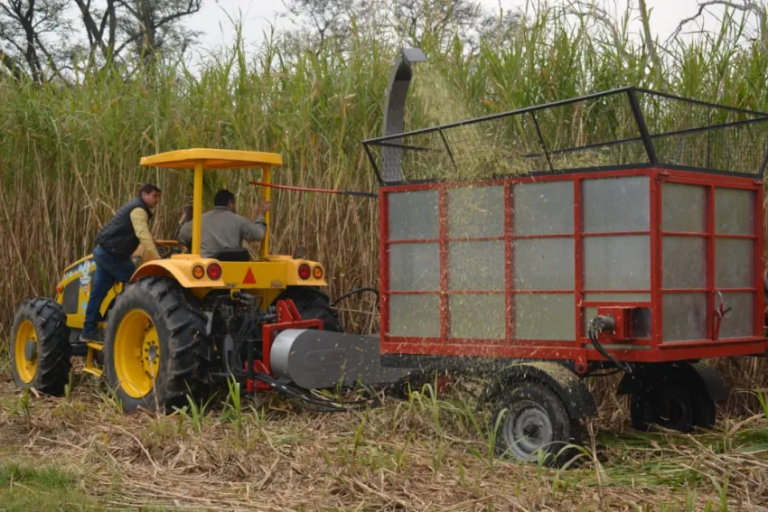Corrientes:  importantes avances en el marco del Plan Pasturas