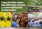 Capacitación sobre identificación animal y comercialización en Mercedes