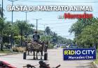 Maltrato animal en Mercedes  a la vista de todos: un reclamo que exige respuestas urgentes