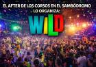 Confirmado: el after oficial de los corsos se realizará en el sambódromo y estará a cargo de WILD
