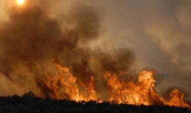 Incendio de un campo en proximidades de la Ruta 40 puso en alerta a los Bomberos de Mercedes 