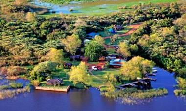 Carlos Pellegrini, 40 años después del inicio de la aventura de preservar el Iberá