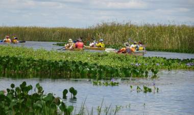 Los Esteros del Iberá fue el lugar más visitado durante el fin de semana extra largo