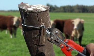 Otro ataque de cuatreros en la costa del Río Uruguay: denuncian inacción policial 