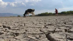 Dicen que La Niña llega en primavera con escasas lluvias e intensa sequía
