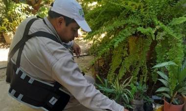 Dengue al acecho en Corrientes: confirmaron 6 casos más y se elevan las alarmas 