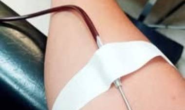 Elba Otaño “El Banco de Sangre de Mercedes recibió una centrifuga refrigerada de última generación”