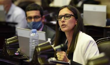 Aftosa: exigen implementación del nuevo Plan de Vacunación