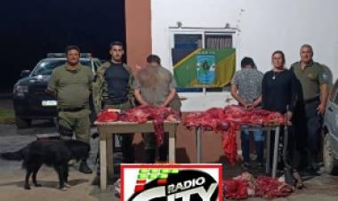 Persecución y detención en Perugorría por abigeato