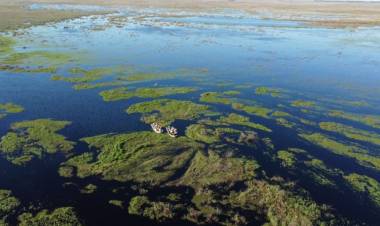 Esteros del Iberá elegida Maravilla de América Latina 2025