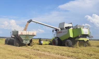 AdecoAgro apuesta a Ctes y se comprometió a sembrar el doble