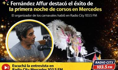 “Pusimos la mejor voluntad para que el carnaval salga”, afirmó Fernández Affur