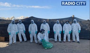 Exitosa jornada de recepción de envases vacíos de fitosanitarios en Mercedes