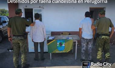 Fuerte golpe al abigeato cerca de Mercedes: dos detenidos en Perugorría por faena clandestina
