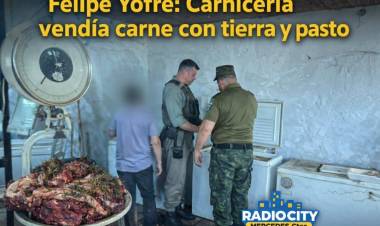 Felipe Yofre: secuestran carne con tierra y pasto en una carnicería