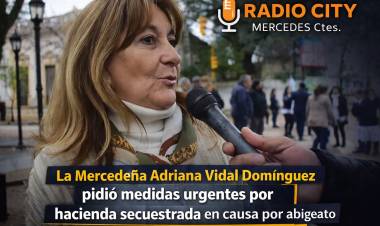 La Mercedeña Adriana Vidal Domínguez reclamó a la Justicia definir el destino de 183 vacunos secuestrados