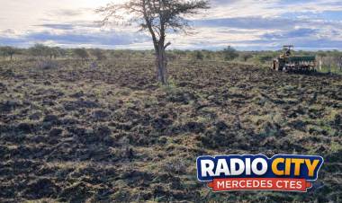 MERCEDES: realizan tareas de laboreo de suelo en el paraje Ibirapitá