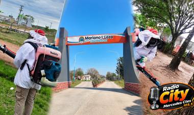Ataque de abejas en Solari: el Municipio de Mercedes envió personal de Zoonosis para colaborar