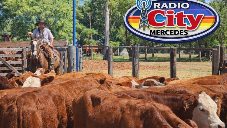 Mercedes vivió una jornada histórica en la Feria del Ternero