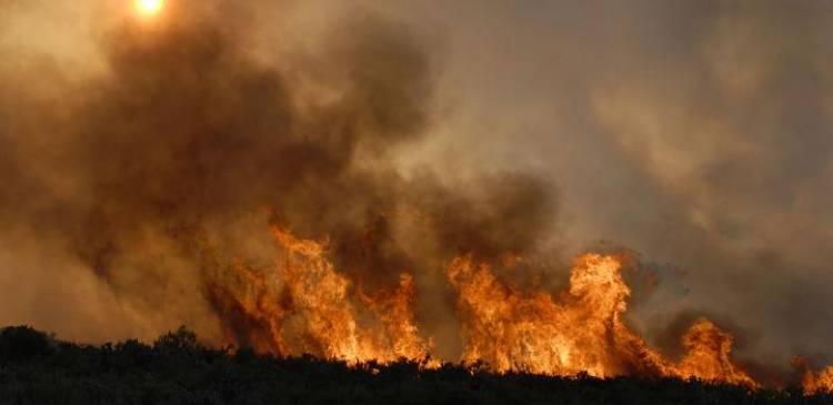 Incendio de un campo en proximidades de la Ruta 40 puso en alerta a los Bomberos de Mercedes 