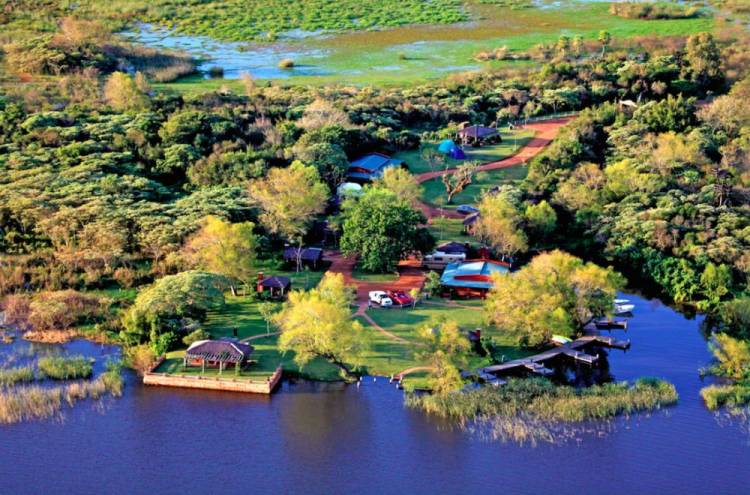 Carlos Pellegrini, 40 años después del inicio de la aventura de preservar el Iberá