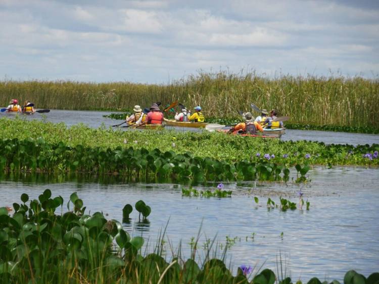 Los Esteros del Iberá fue el lugar más visitado durante el fin de semana extra largo