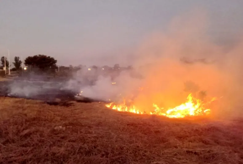 Riesgo alto de incendios en Capital, Mercedes , Chavarría 