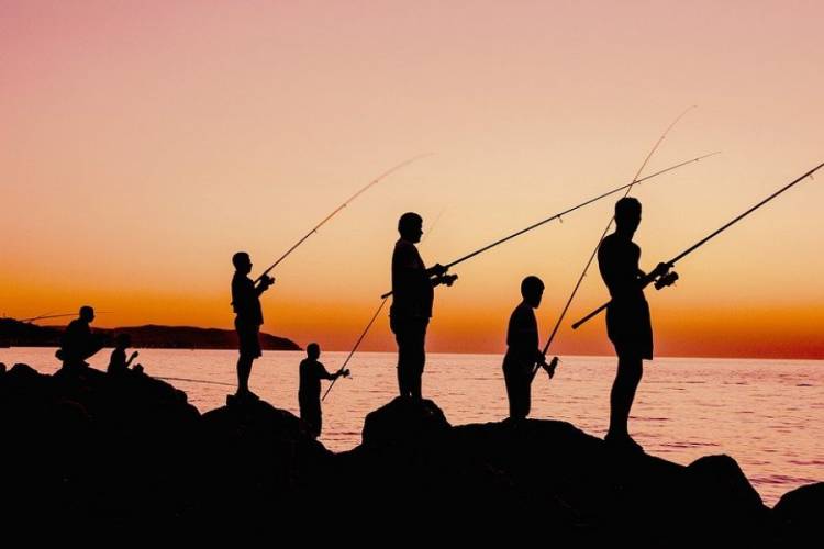 ÚNICA! Licencia de pesca deportiva para toda la Región Litoral