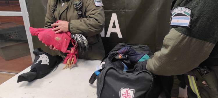 Mercedes : Condenaron a las personas que transportaban gallos de riña en una camioneta