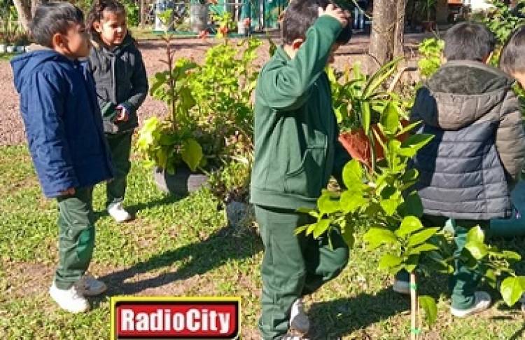 Mercedes : Pequeños sembradores de futuro, visita educativa al vivero