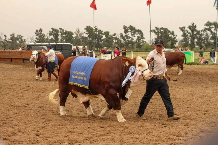 Mercedes se prepara para la 116° Expo Rural: del 12 al 14 de septiembre