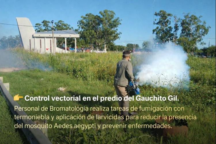 Mercedes ; Bromatología refuerza el control de mosquitos en el predio del Gauchito Gil