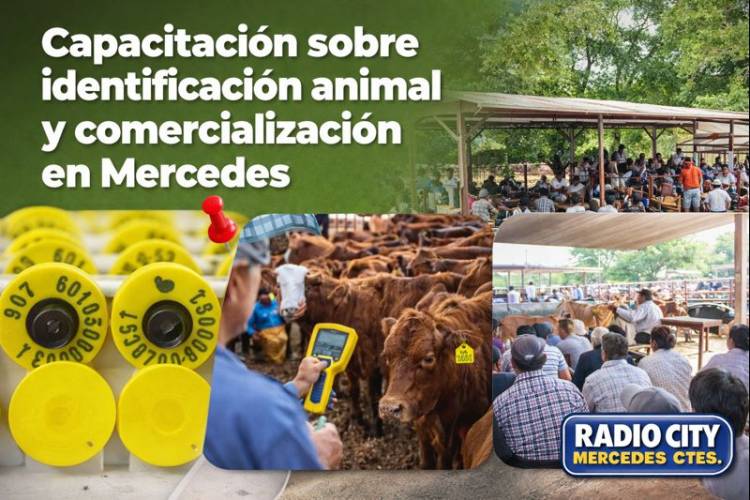 Capacitación sobre identificación animal y comercialización en Mercedes