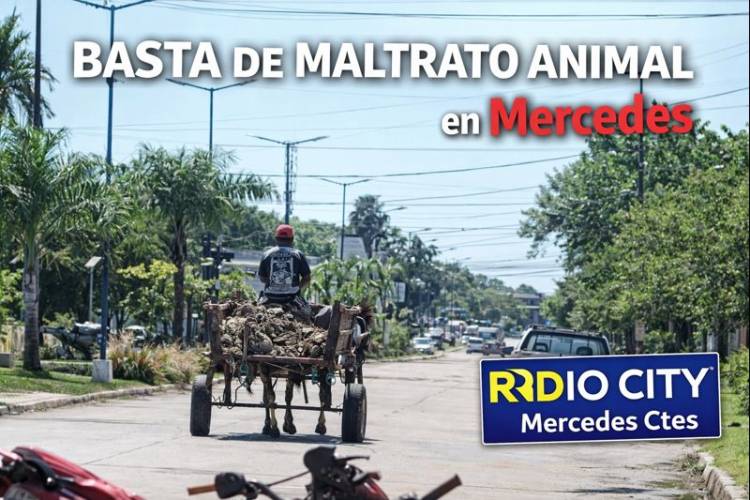 Maltrato animal en Mercedes  a la vista de todos: un reclamo que exige respuestas urgentes