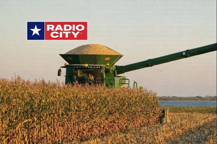 Mercedes : Christian Jetter, "se sembraron más de 1000 hectáreas maiz en la provincia"