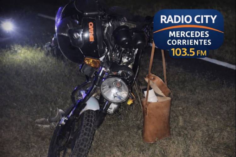 Mercedes: policía herido tras chocar con un carpincho en Ruta 119