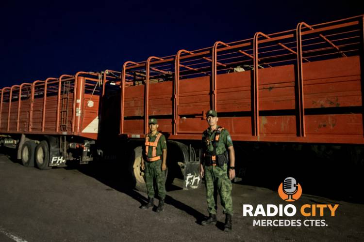 MERCEDES: Transportaba hacienda sin la documentación completa y debió pagar una millonaria multa