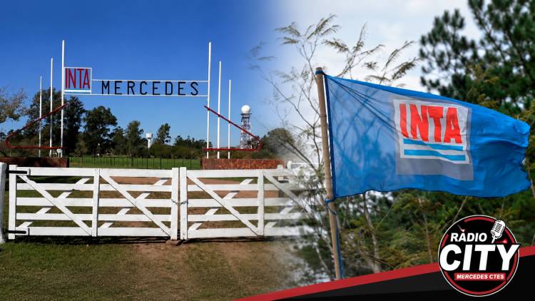 Mercedes: advierten que la reducción de personal en el INTA podría afectar servicios clave para el campo