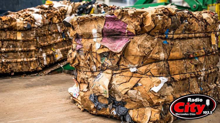 Mercedes: El municipio podrá vender directamente el cartón recuperado en el Complejo Ambiental